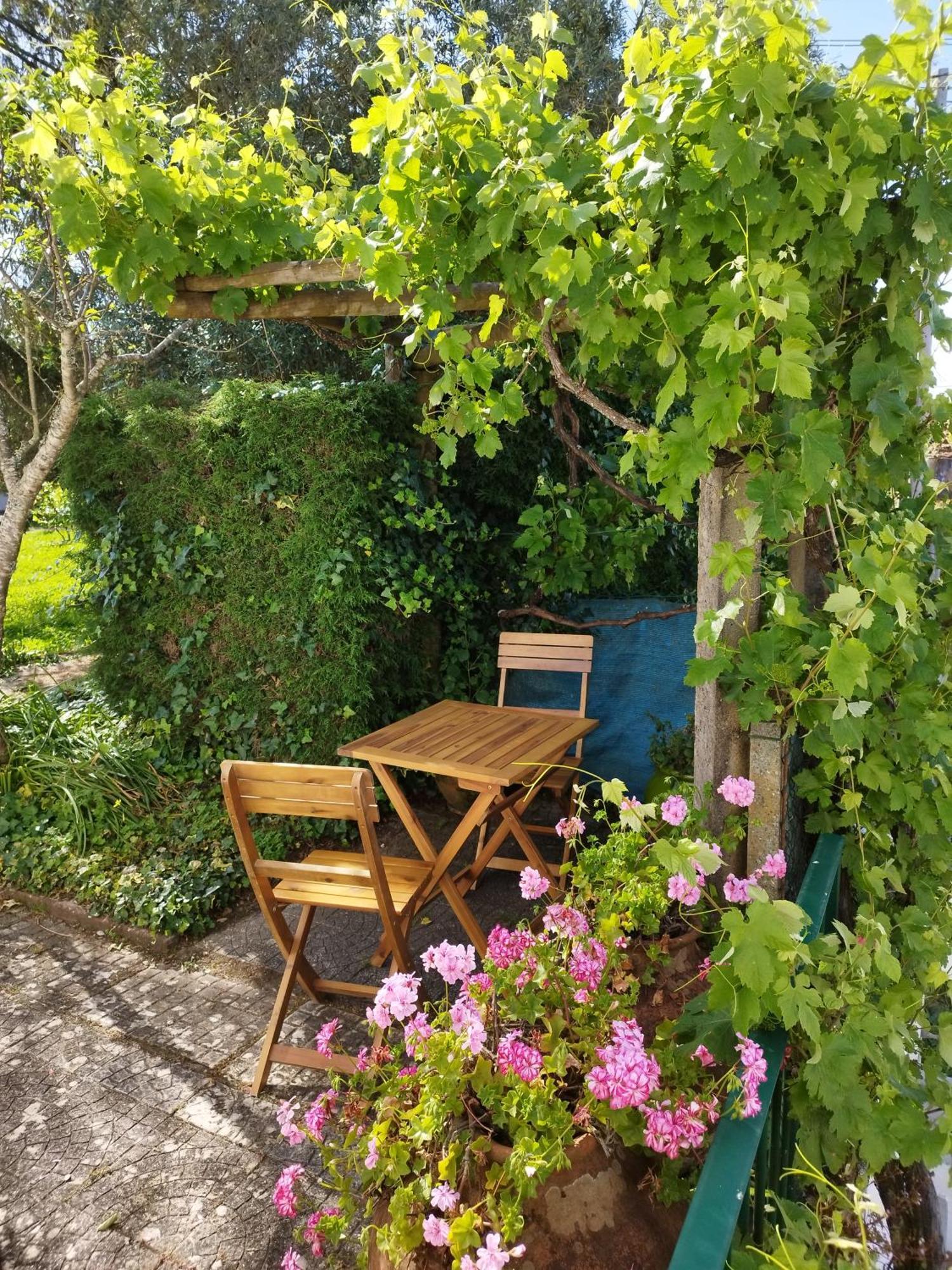 Alviobeira Casa Da Fonte 빌라 외부 사진